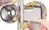 Rome Wall Lamp 2 Light